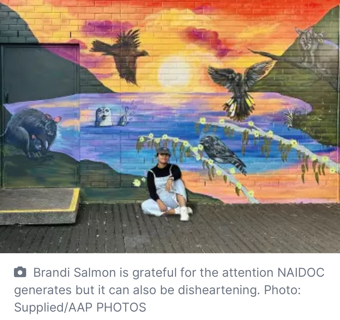 This artist wants culture valued beyond NAIDOC Week